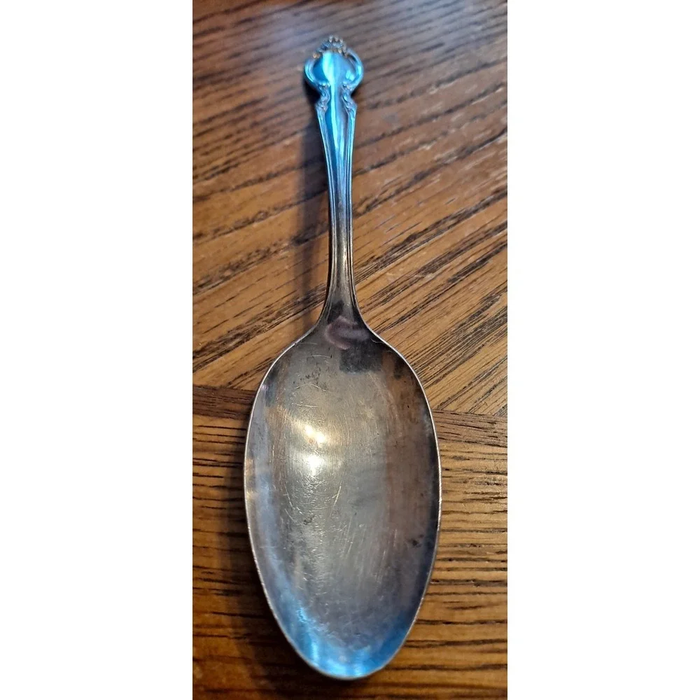 WM Rogers IS Silverplate Large Spoon‎